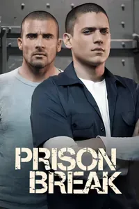 series5.webp